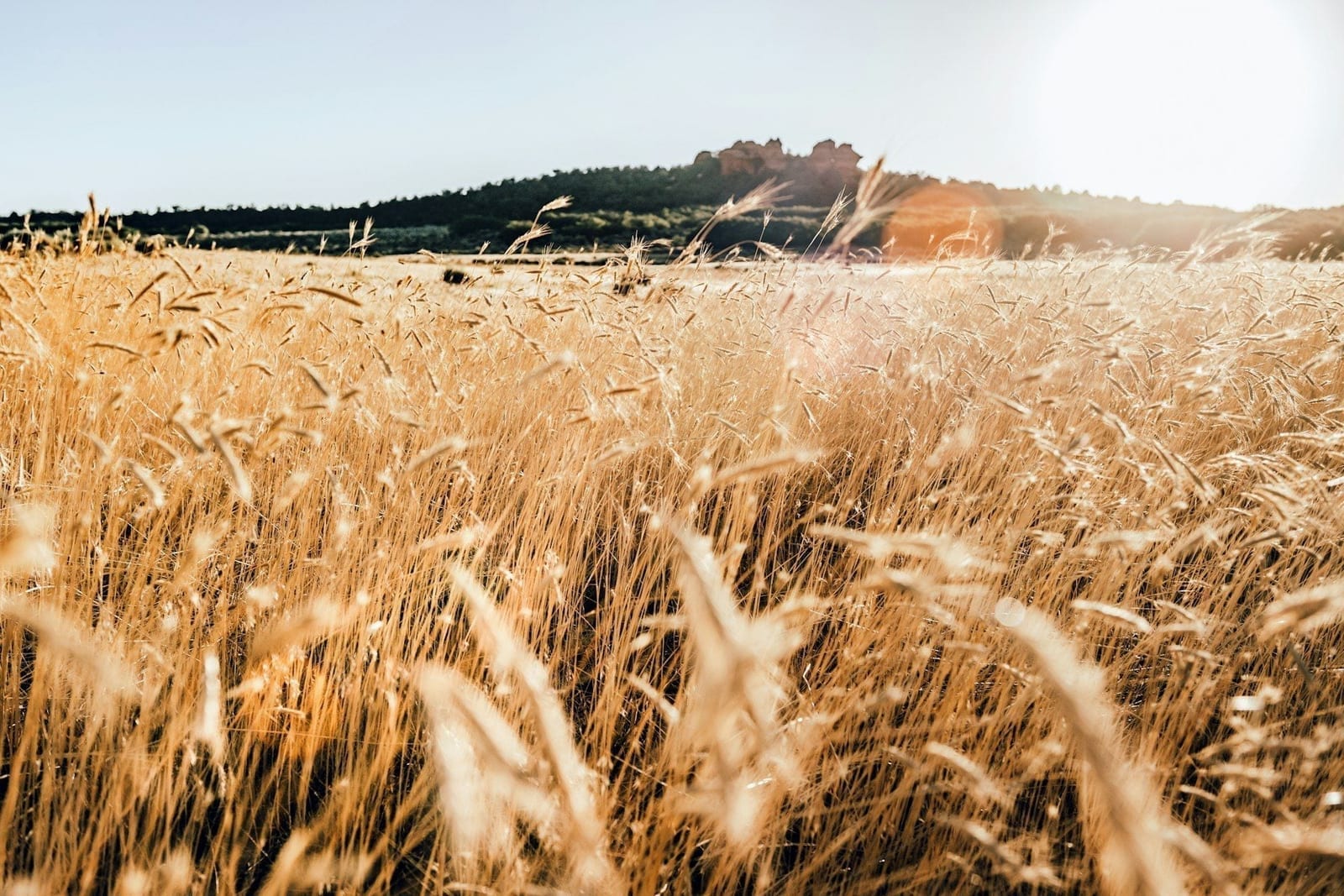 Farmer managing farm finances on a laptop - P2PAgri farm financial management software