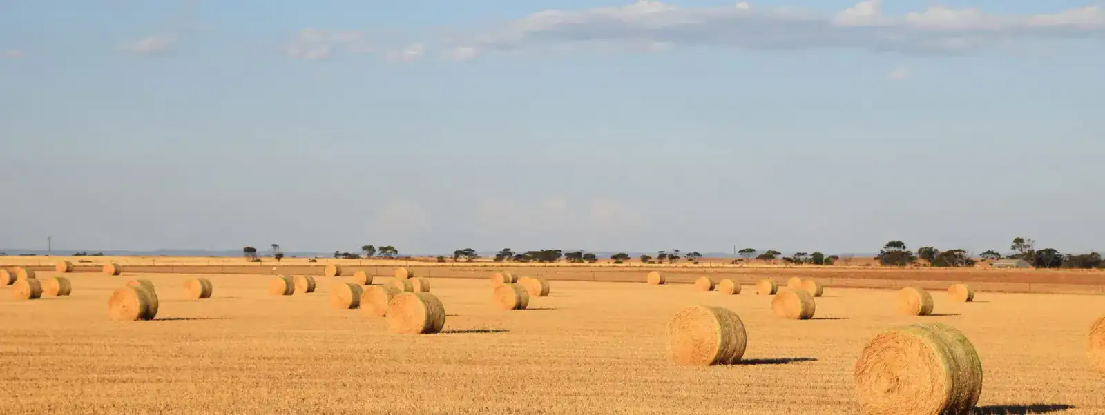 Hay bales in Australian paddock - GRDC farm business management fact sheets