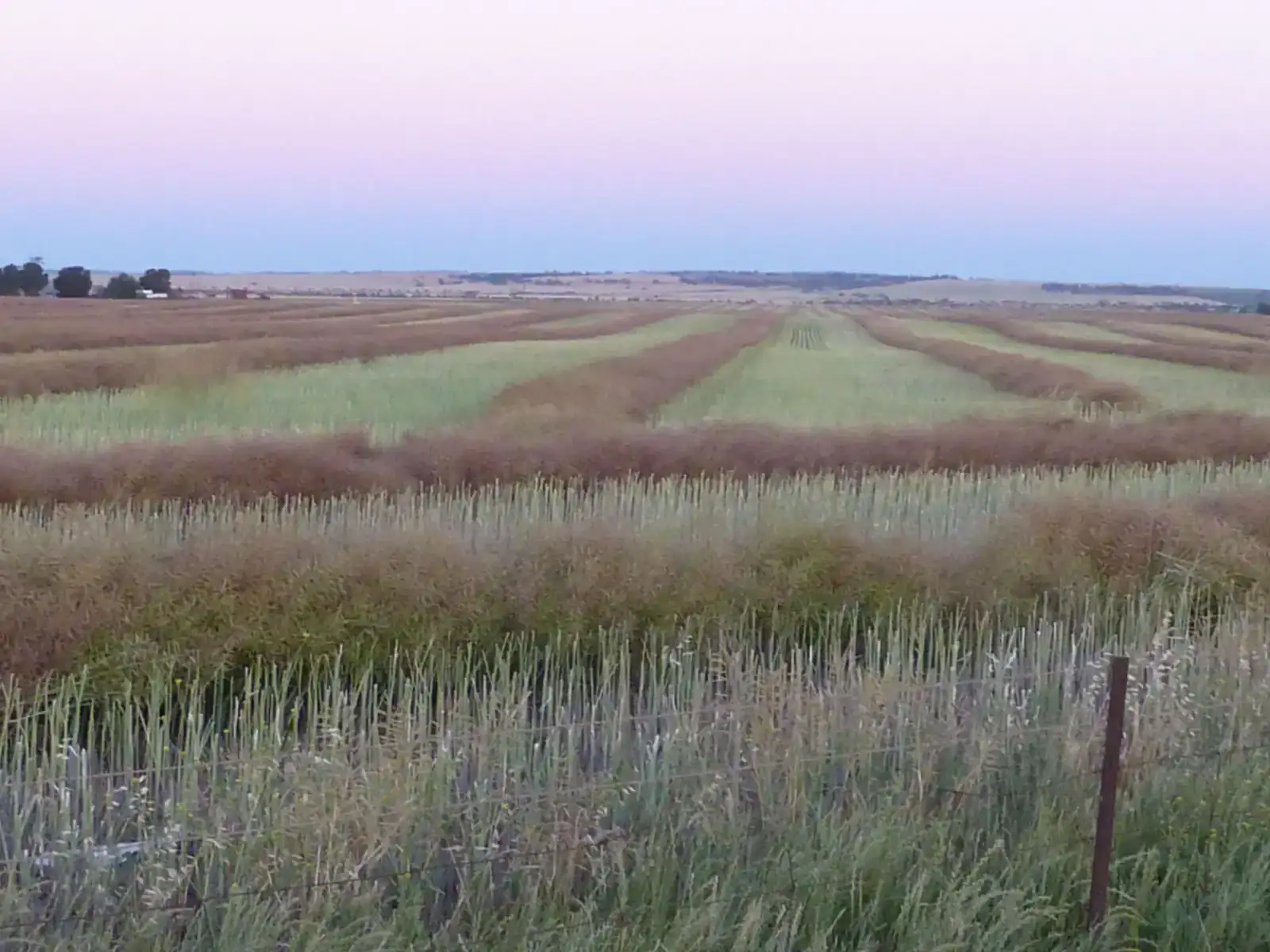 Calculate Crop Gross Margins Per Hectare, Per Paddock