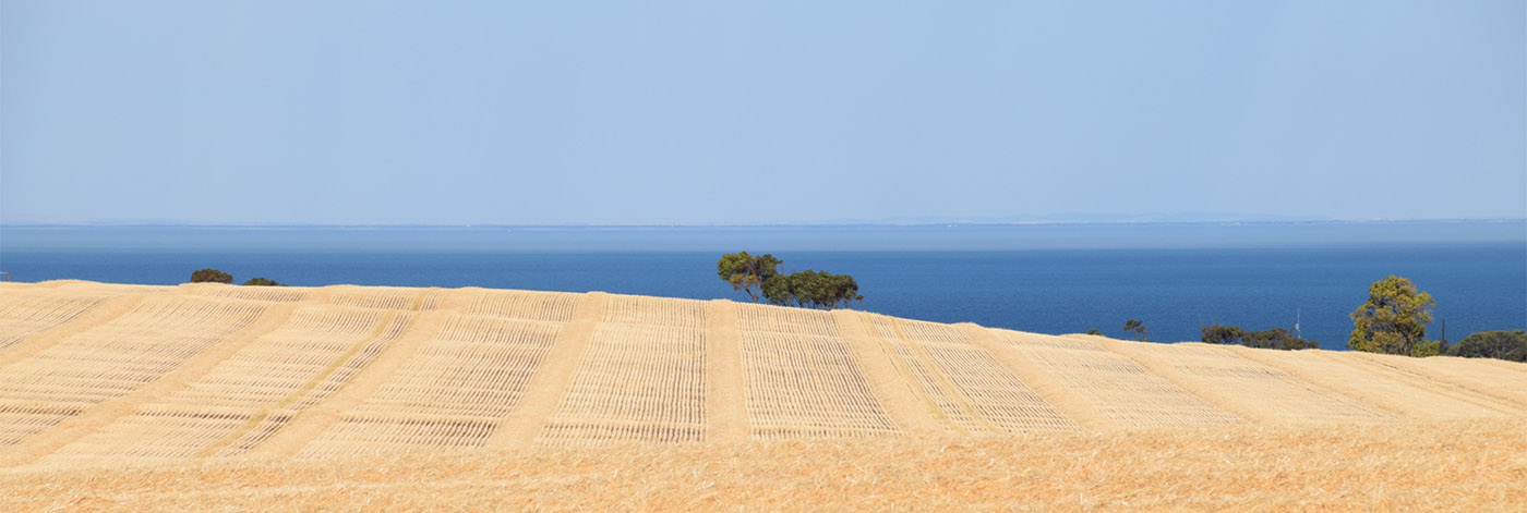 Knowing Your Cost of Production: A Risk Management Tool for the Farm Business