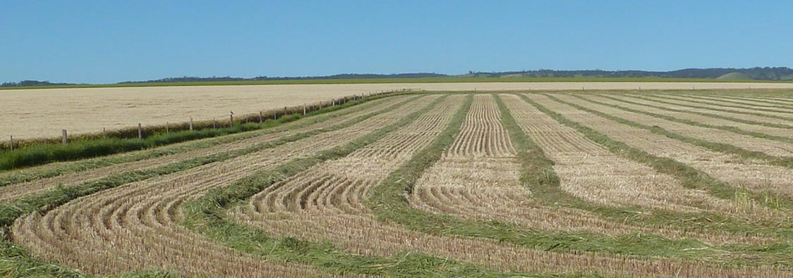 Expand Your Farm Business or Invest Off-Farm? Compare for Profitability