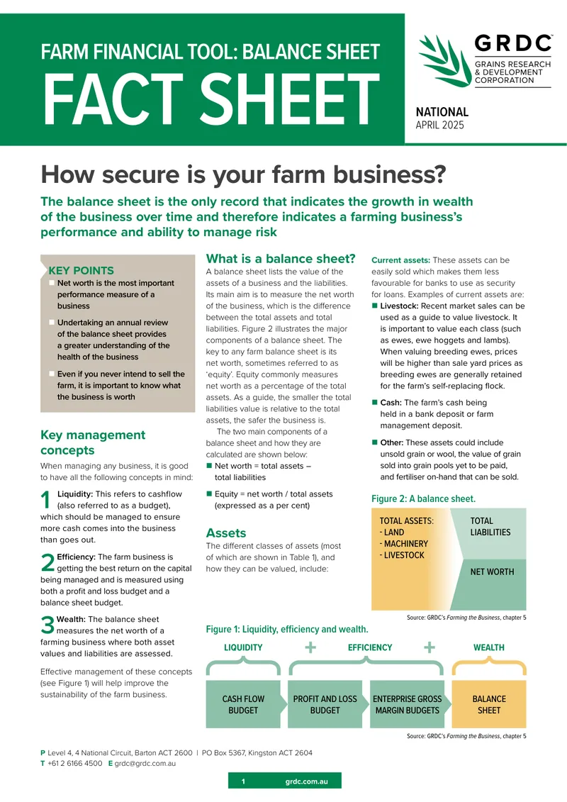 Balance Sheet fact sheet cover