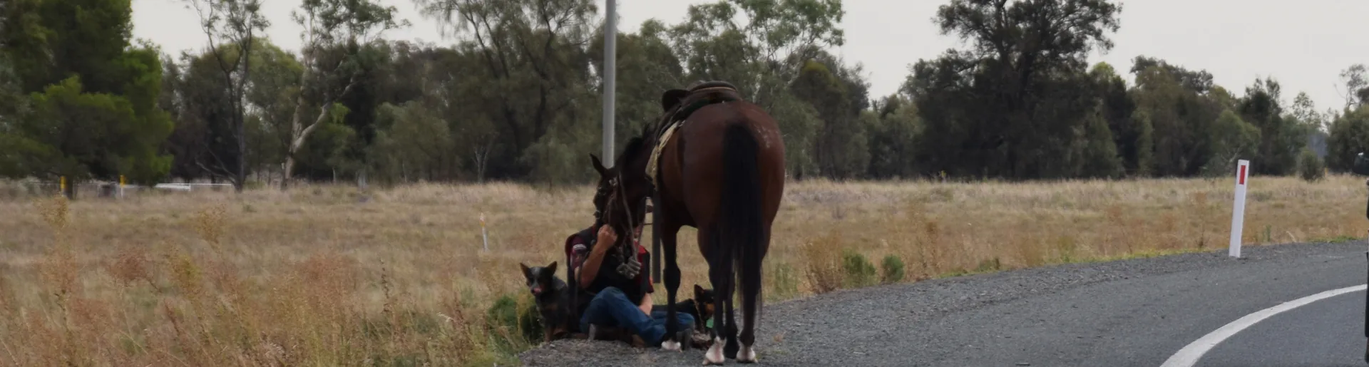 Farm Business Dashboard