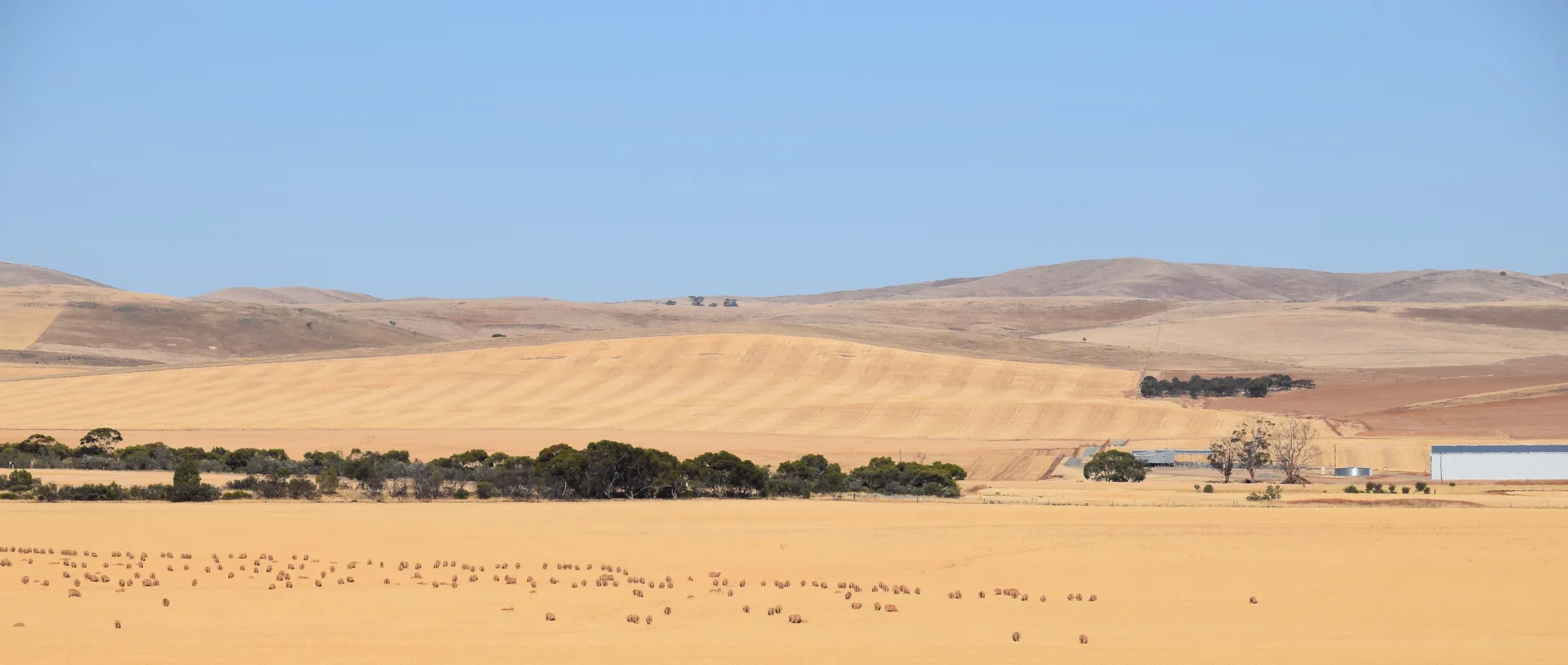 Dry Australian farming landscape - compare P2PAgri, Agrimaster, and Figured farm software