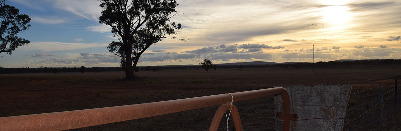 Australian farm gate at sunrise - plan your farm drought strategy with P2PAgri