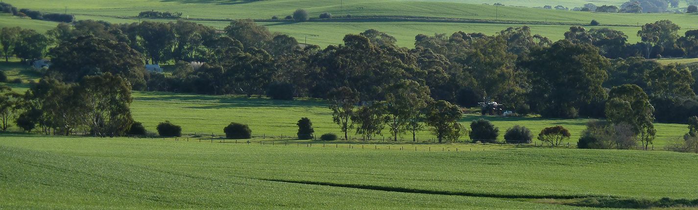 Green pastures and rolling hills - about P2PAgri farm business management software