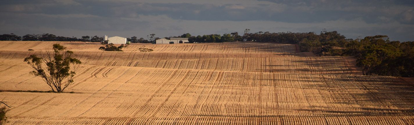 Test Farm Decisions Before You Commit with What-If Scenario Analysis