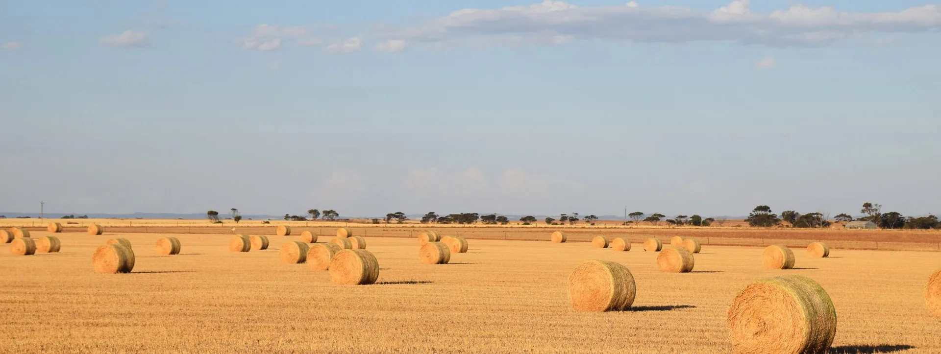 Hay bales in Australian paddock - GRDC farm business management fact sheets