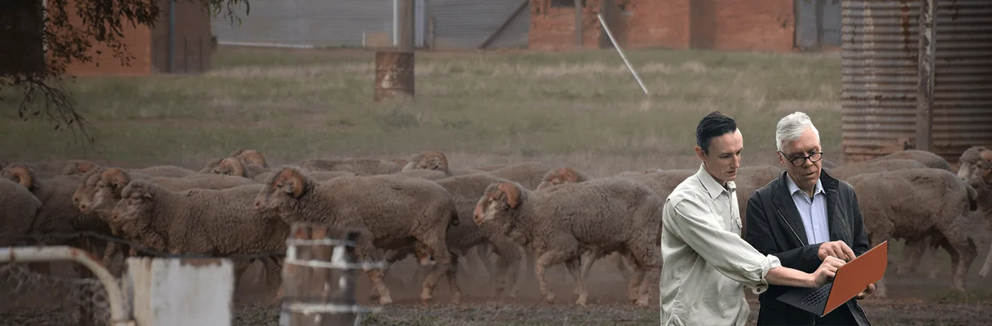 Mike Krause and Jason working together as P2PAgri accredited farm business advisers