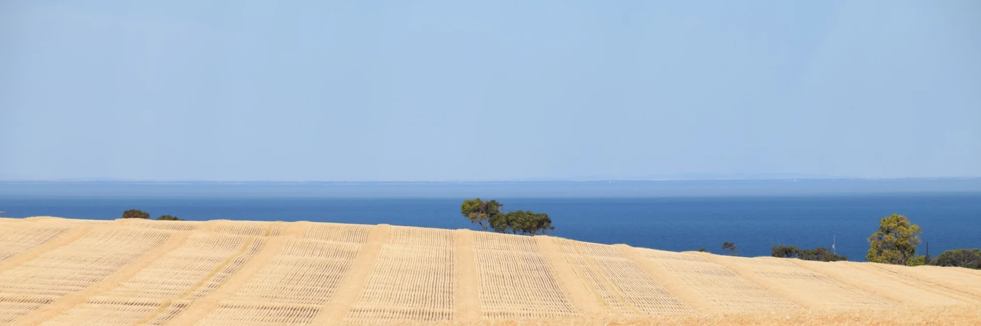 Xero Integration for Farm Financial Management