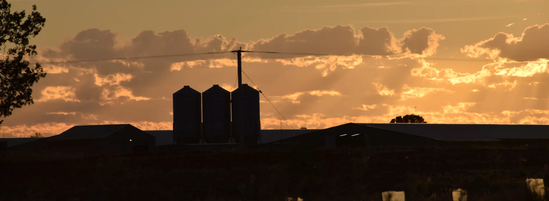 Grain silos at sunset - contact P2PAgri for farm financial planning support