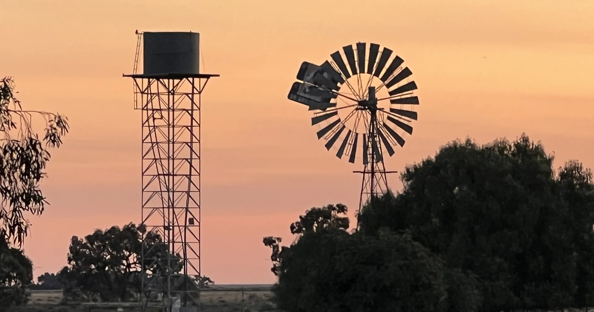 Farm Financial Reports & Bank Ratio Analysis