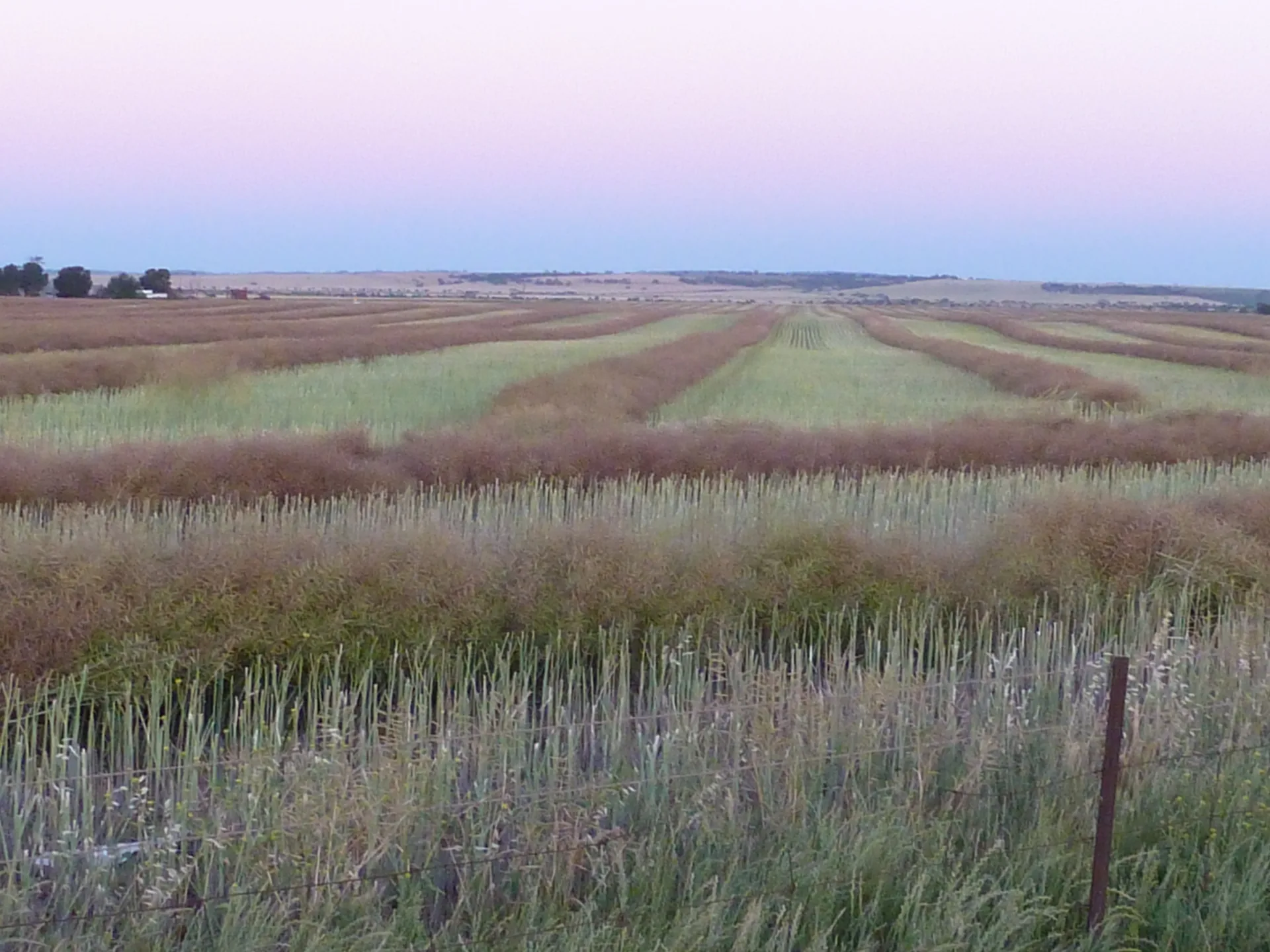 Calculate Crop Gross Margins Per Hectare, Per Paddock