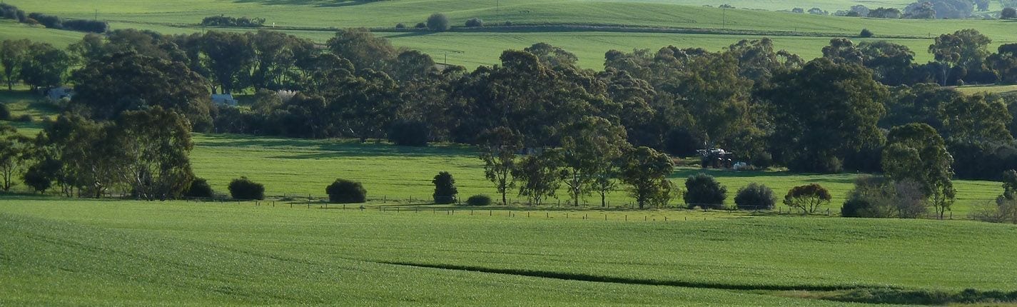 Green pastures and rolling hills - about P2PAgri farm business management software